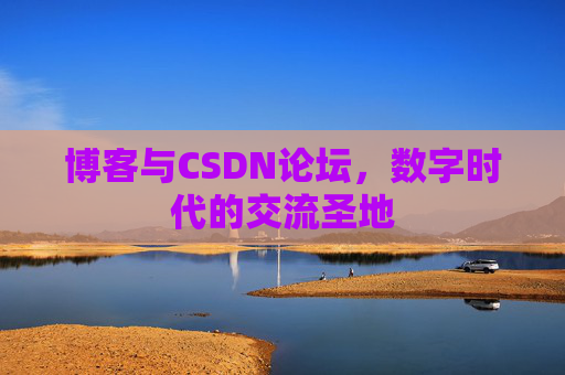 博客与CSDN论坛，数字时代的交流圣地